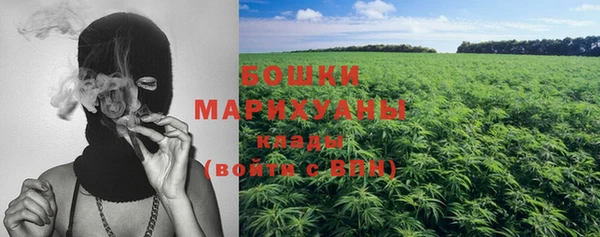 каннабис Белокуриха