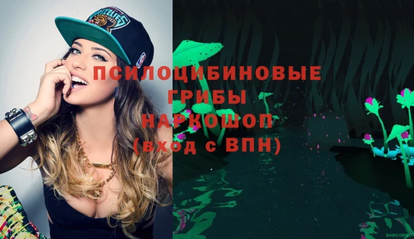 каннабис Белокуриха