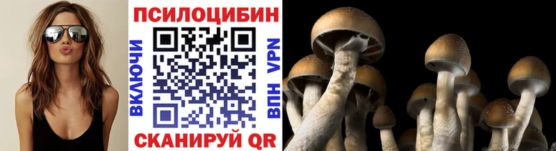 купить закладку  Малмыж  Галлюциногенные грибы мухоморы 
